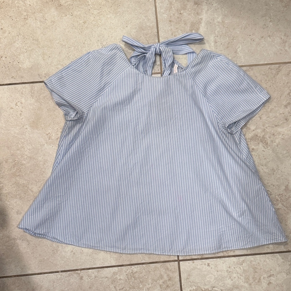 Zara Blue Striped Blouse